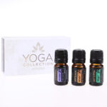 yoga kit esencialne oleje doterra