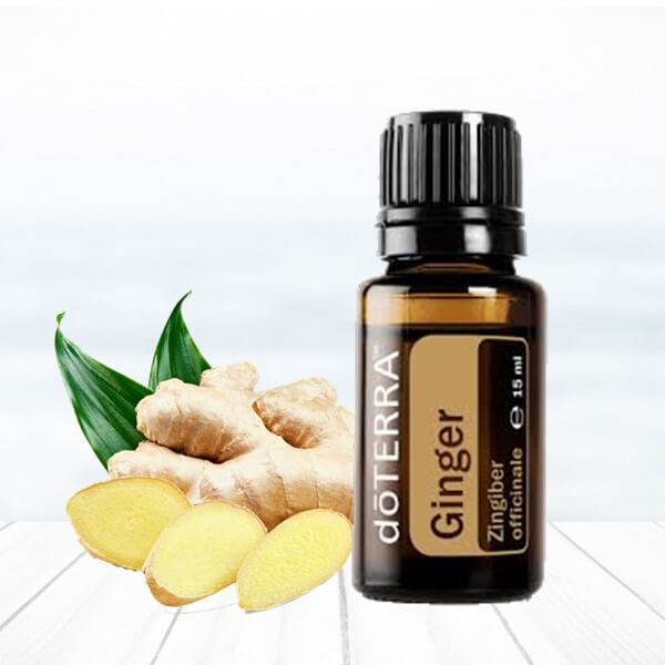 Ginger zázvor doterra esenciálne oleje trávenie